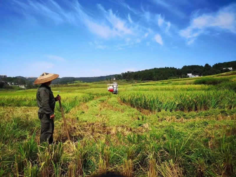 案例展示